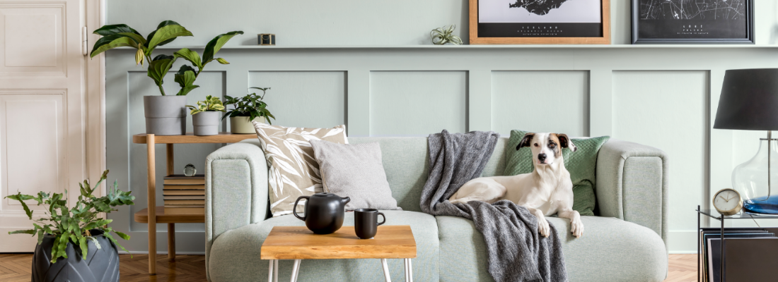 Cores na sala: dicas e ideias de pintura para renovar o ambiente!